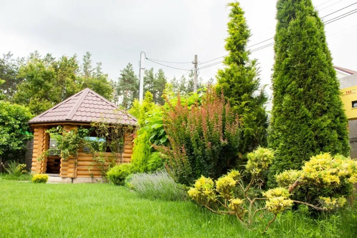 https://orenburg.tgv-stroy.ru/storage/app/uploads/public/637/ef4/fb3/637ef4fb3605f391429275.png